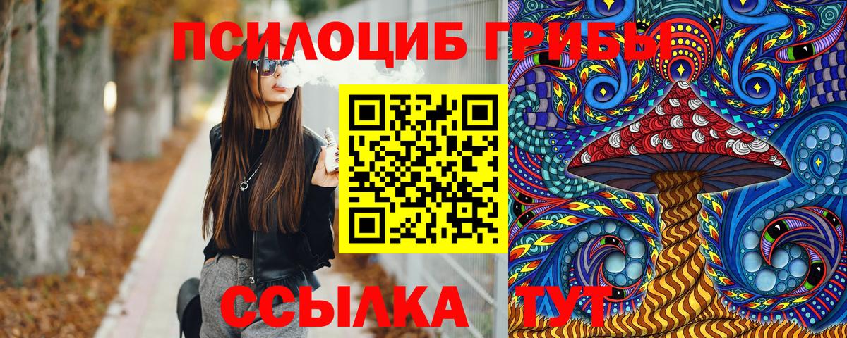Псилоцибиновые грибы GOLDEN TEACHER Нижний Тагил