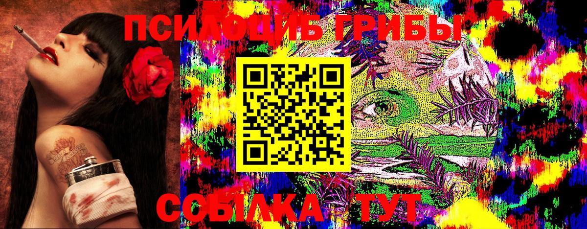 Галлюциногенные грибы GOLDEN TEACHER  Галлюциногенные грибы GOLDEN TEACHER  Вход с VPN  Нижний Тагил 